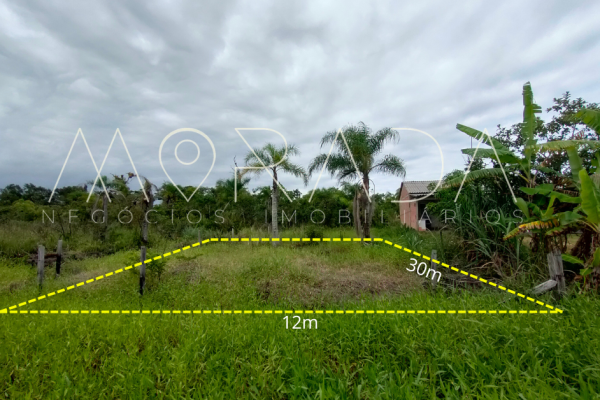 Texto do seu parágrafo